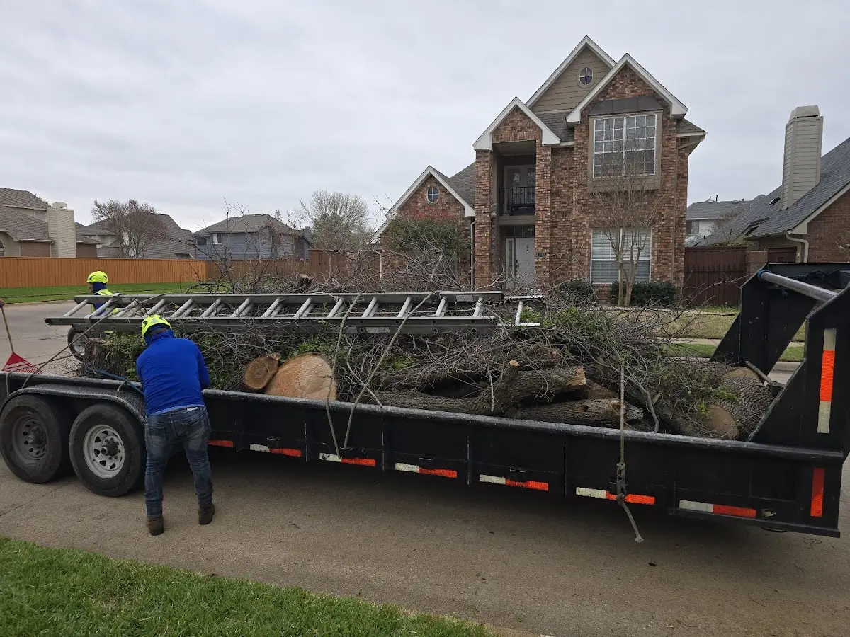 Expert Tree Fertilization with proper safety equipment in Pleasant Plain